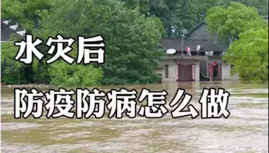 &#20339;&#21338;&#23448;&#26041;&#32593;&#39029;&#29256;&#45;&#20339;&#21338;&#65288;&#20013;&#22269;&#65289;