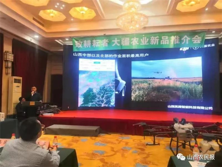 &#20339;&#21338;&#23448;&#26041;&#32593;&#39029;&#29256;&#45;&#20339;&#21338;&#65288;&#20013;&#22269;&#65289;